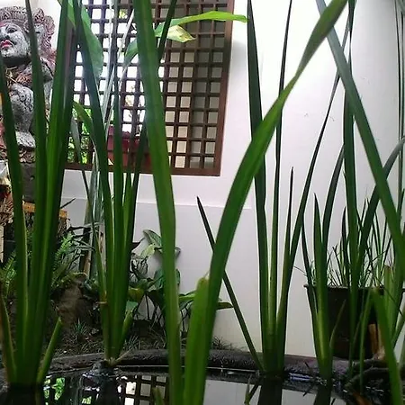 Threewin Homestay Ubud  Bagian luar foto